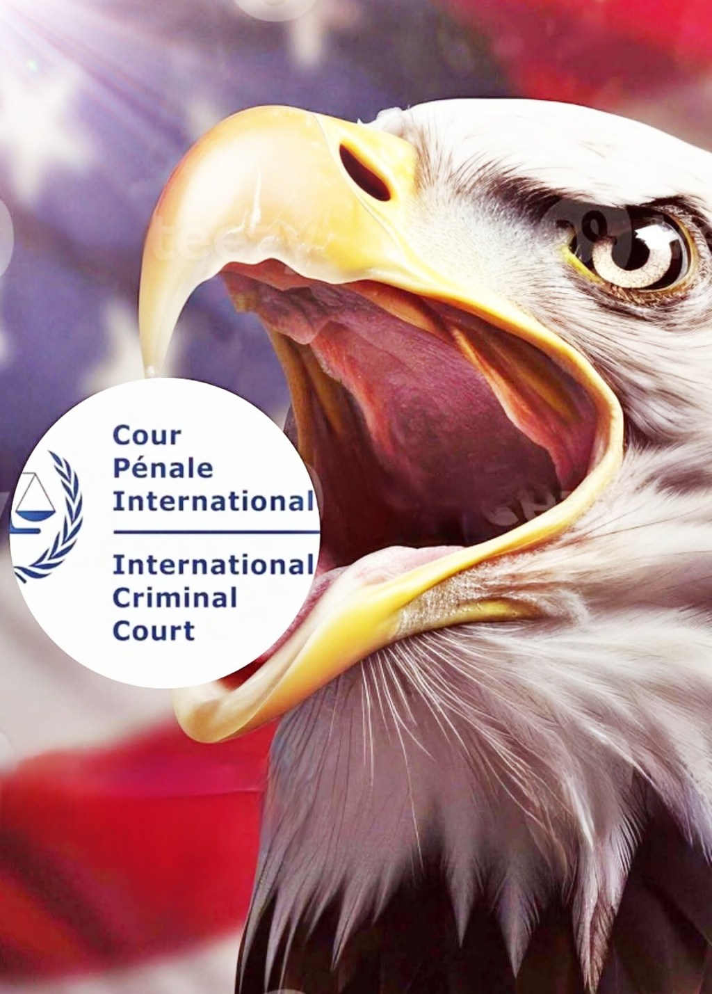Jurisdiction and Impunity